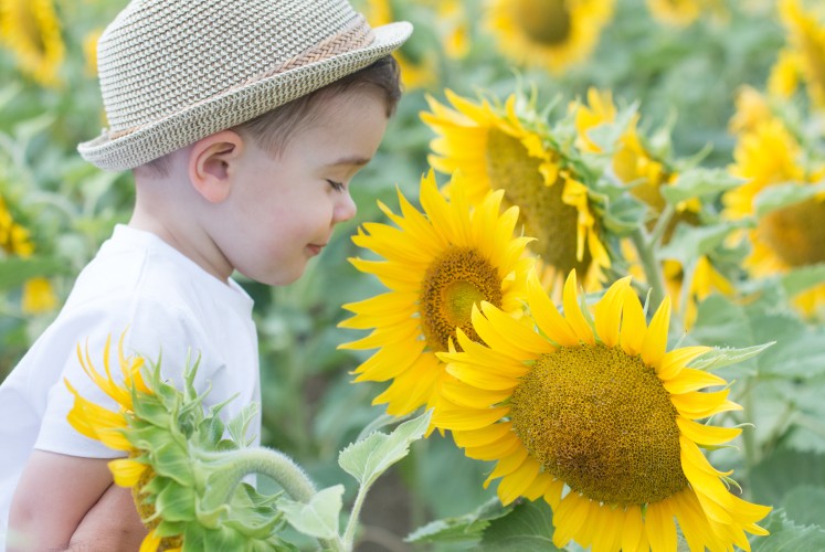 photographe Enfant vendée la roche sur yon